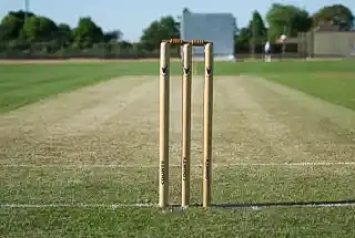 Cricket Pitch